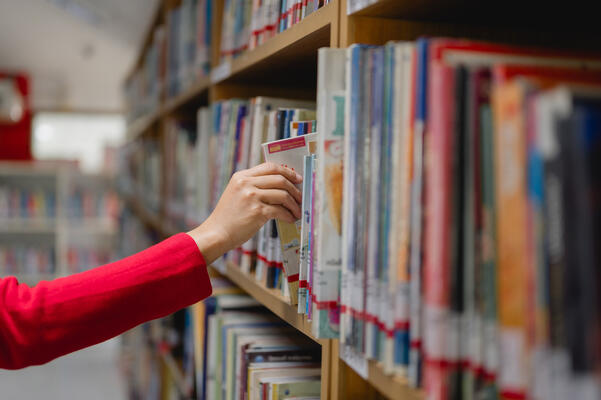 In de bibliotheek